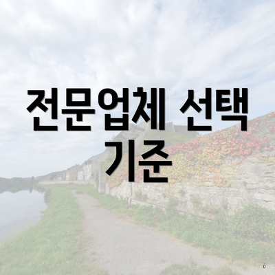 전문업체 선택 기준