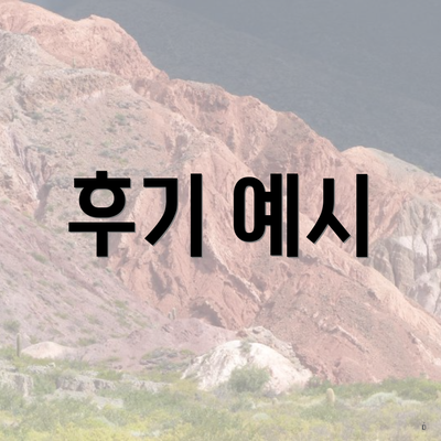 후기 예시