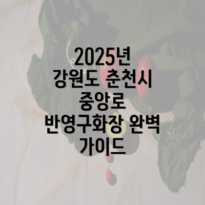2025년 강원도 춘천시 중앙로 반영구화장 완벽 가이드