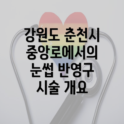 강원도 춘천시 중앙로에서의 눈썹 반영구 시술 개요