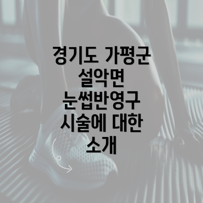 경기도 가평군 설악면 눈썹반영구 시술에 대한 소개