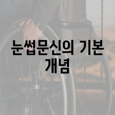 눈썹문신의 기본 개념