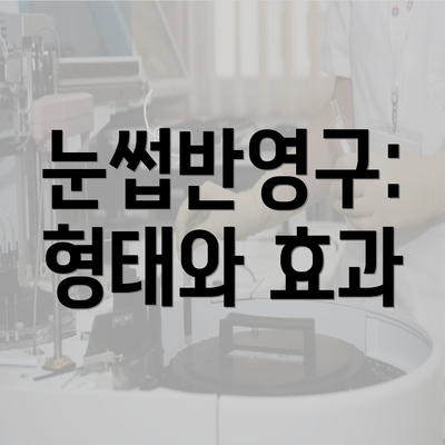 눈썹반영구: 형태와 효과