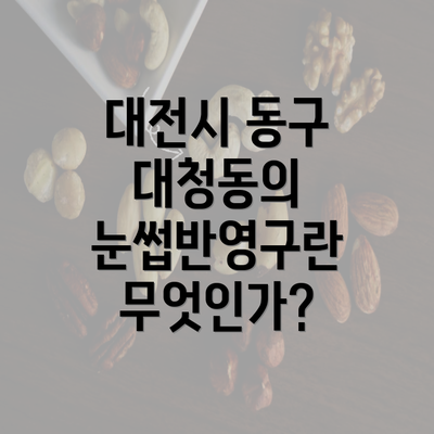 대전시 동구 대청동의 눈썹반영구란 무엇인가?