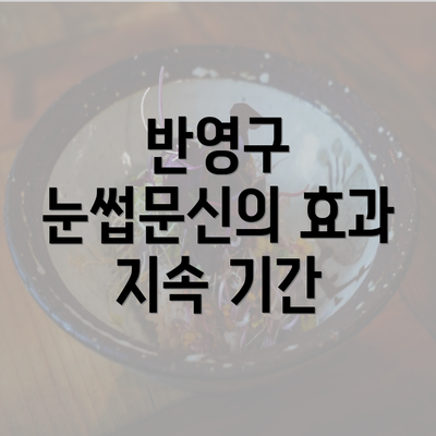 반영구 눈썹문신의 효과 지속 기간