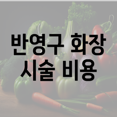 반영구 화장 시술 비용
