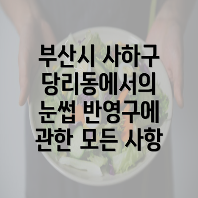 부산시 사하구 당리동에서의 눈썹 반영구에 관한 모든 사항