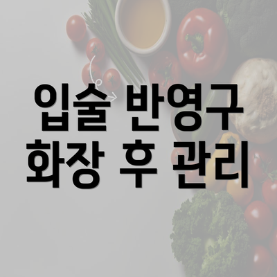 입술 반영구 화장 후 관리