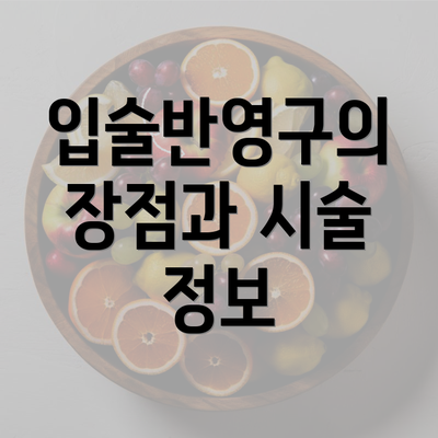 입술반영구의 장점과 시술 정보