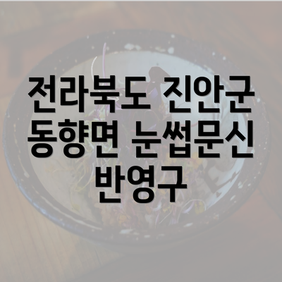 전라북도 진안군 동향면 눈썹문신 반영구