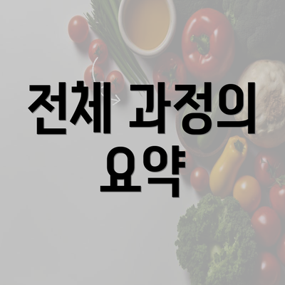 전체 과정의 요약