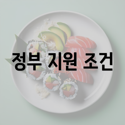 정부 지원 조건