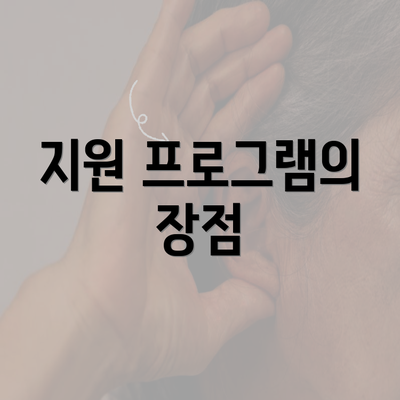 지원 프로그램의 장점