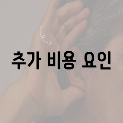 추가 비용 요인