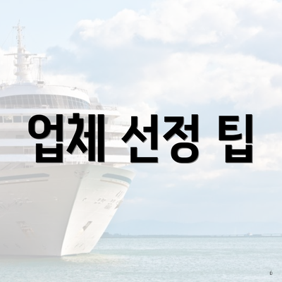 업체 선정 팁