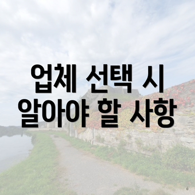 업체 선택 시 알아야 할 사항
