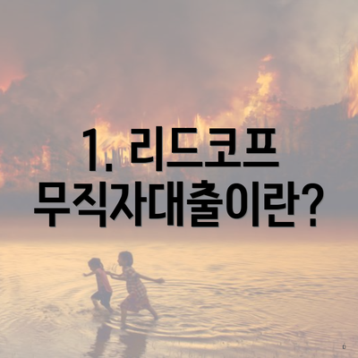 1. 리드코프 무직자대출이란?