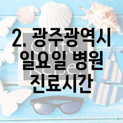 2. 광주광역시 일요일 병원 진료시간