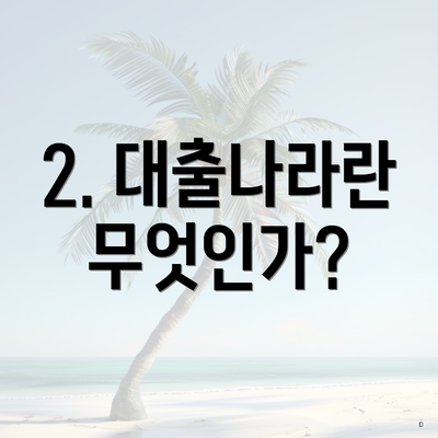 2. 대출나라란 무엇인가?
