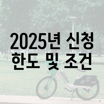 2025년 신청 한도 및 조건