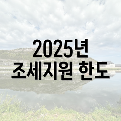 2025년 조세지원 한도