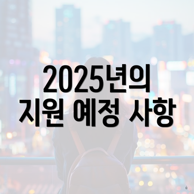 2025년의 지원 예정 사항