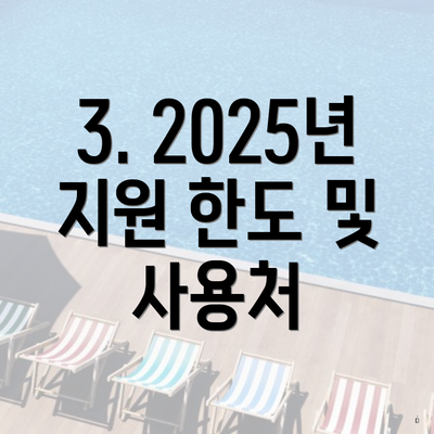 3. 2025년 지원 한도 및 사용처