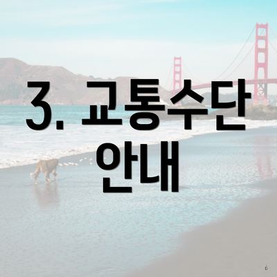 3. 교통수단 안내