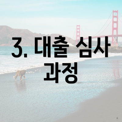 3. 대출 심사 과정