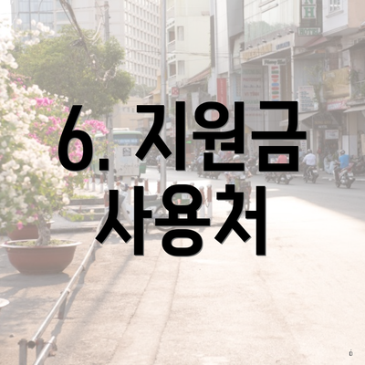 6. 지원금 사용처