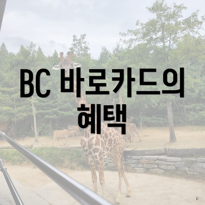 BC 바로카드의 혜택