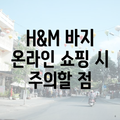 H&M 바지 온라인 쇼핑 시 주의할 점