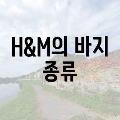 H&M의 바지 종류