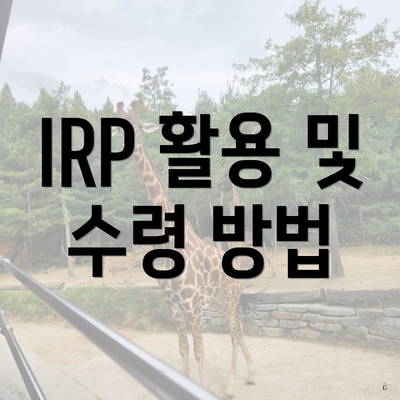 IRP 활용 및 수령 방법