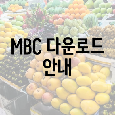 MBC 다운로드 안내