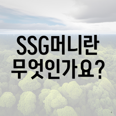 SSG머니란 무엇인가요?