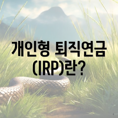 개인형 퇴직연금(IRP)란?