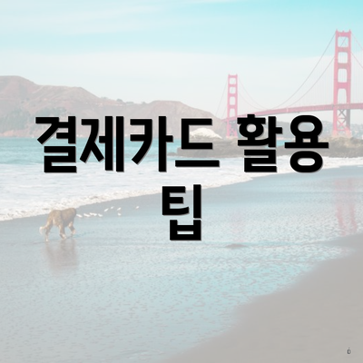 결제카드 활용 팁