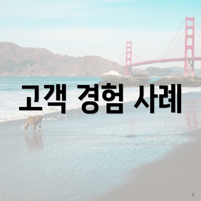 고객 경험 사례