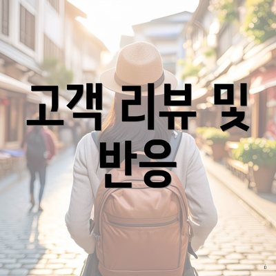 고객 리뷰 및 반응
