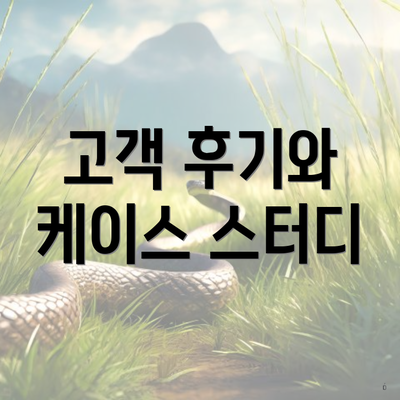 고객 후기와 케이스 스터디