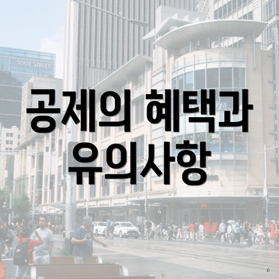 공제의 혜택과 유의사항
