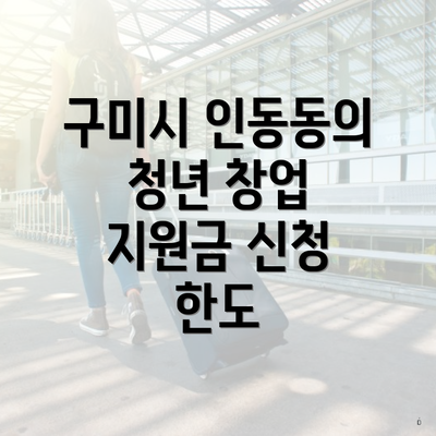 구미시 인동동의 청년 창업 지원금 신청 한도