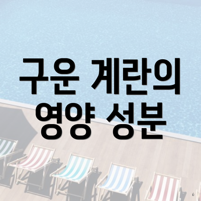 구운 계란의 영양 성분