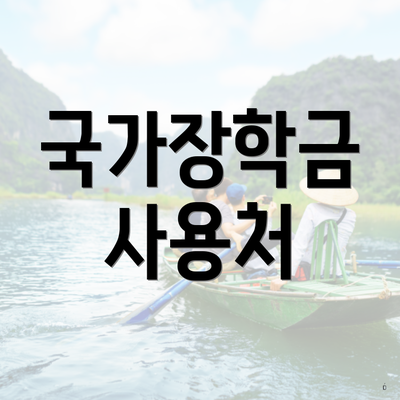 국가장학금 사용처