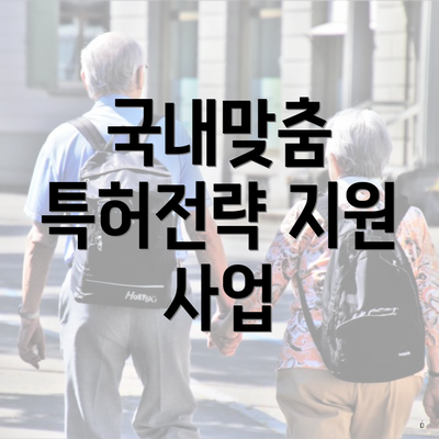 국내맞춤 특허전략 지원 사업
