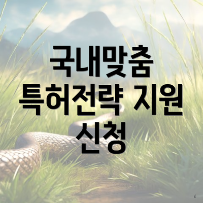 국내맞춤 특허전략 지원 신청