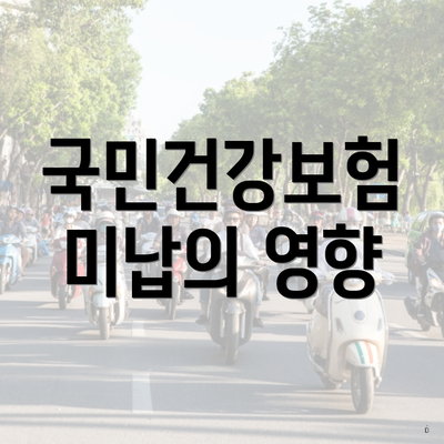 국민건강보험 미납의 영향