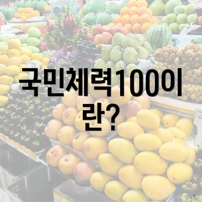 국민체력100이란?