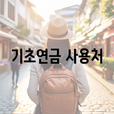 기초연금 사용처